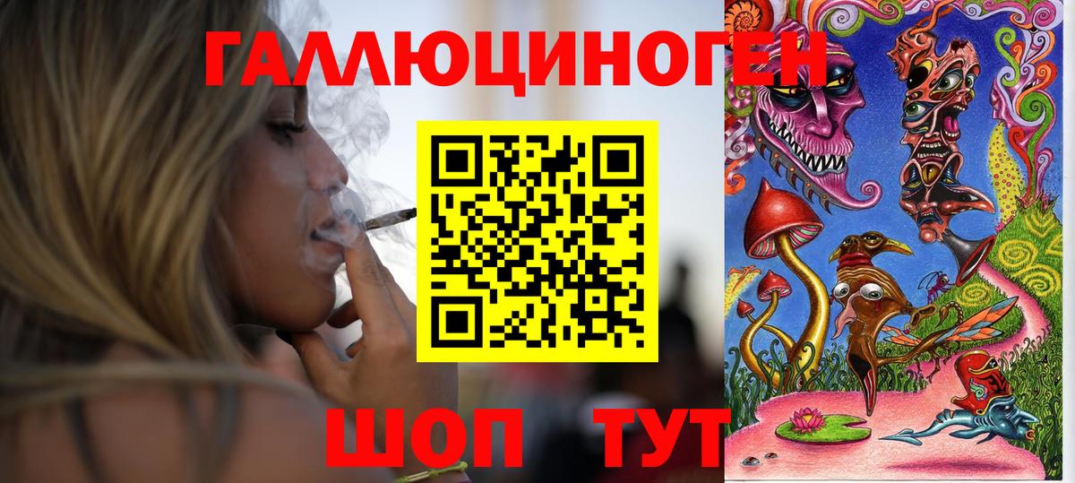 Ижевск  Псилоцибиновые грибы Psilocybe  Вход с VPN 