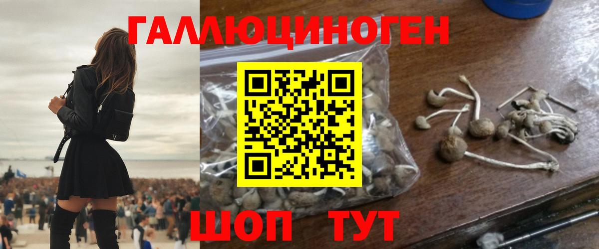 Псилоцибиновые грибы MAGIC MUSHROOMS Ижевск